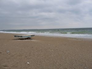 alt1