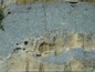 alt4