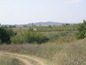 alt13
