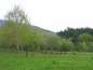 Development land for sale in Sofia. Large regulated plot in Dragalevtsi - the elite district