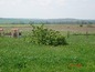 Land for sale near Burgas. A spacious plot of regulated land near Burgas!