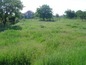 Agricultural land for sale near Burgas. A nice plot of agricultural land near Burgas