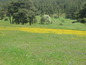Land for sale near Velingrad. A plot of land in a vacation place