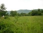Agricultural land for sale near Gabrovo. Good-sized plot of land in a picturesque area