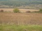 Agricultural land for sale near Gabrovo. A huge plot of agricultural land,  good opportunity to invest in Bulgaria!