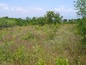 Agricultural land for sale near Burgas. An attractive plot of agricultural land with sea view!