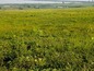 Agricultural land for sale near Burgas SOLD . Wise investment