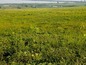 Agricultural land for sale near Burgas SOLD . Wise investment