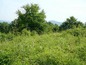 Agricultural land for sale near Gabrovo. Lovely plot of land in a mountainous area