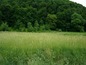 Agricultural land for sale near Troyan. Good-sized plot of land in close proximity to a spa resort