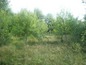 Land for sale near Veliko Tarnovo. A superb place for your new cozy rural house