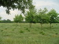 Agricultural land for sale near Plovdiv. An incredible opportunity to invest in Bulgaria...