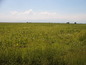 Agricultural land for sale near Plovdiv. An excellent opportunity for investment on the highway Sofia-Bourgas!
