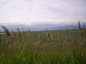 Agricultural land for sale in Plovdiv. Lovely views, good investment potential!