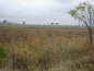 Agricultural land for sale near Sliven. Agricultural land for sale with excellent opportunity!