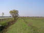 Agricultural land for sale near Plovdiv SOLD . An excellent opportunity for invesment