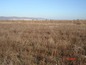 Agricultural land for sale near Burgas.