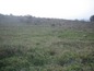 Agricultural land for sale near Haskovo. A worthy purchase!