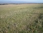Agricultural land for sale near Haskovo. A huge Bulgarian plot of land