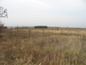 Agricultural land for sale near Vidin. Huge plot of land suitable for a homestead