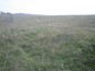 Agricultural land for sale near Haskovo. A big plot of land with a very good location