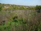 Land for sale near Pleven. A huge plot of land in a quiet village in the infinite Danube plain!