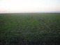 Agricultural land for sale near Sliven. A lovely plot of land in a beautiful area