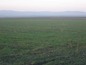 Agricultural land for sale near Sliven. Wonderful plot of land in Sliven region