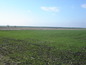 Agricultural land for sale near Sliven. A beautiful agricultural land from the Sliven region