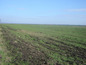 Agricultural land for sale near Sliven. Agricultural plot of land in a picturesque area!