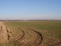 Agricultural land for sale near Stara Zagora. A plot of agricultural land near Stara Zagora