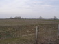 Agricultural land for sale near Plovdiv. A chance to invest in Bulgaria!