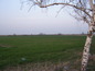 Agricultural land for sale near Plovdiv. An agricultural land spread over the area of 18000 sq.m., very close to Plovdiv!
