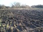 Land for sale near Elhovo. A nice plot of land in a friendly village