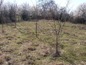 Land for sale near Vratsa. A huge plot at a quite reasonable price!