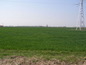 Agricultural land for sale near Plovdiv. A large plot of non regulated land, near Plovdiv!