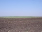 Agricultural land for sale near Stara Zagora. An attractive plot of agricultural land, nice location, reasonable price...