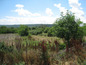 Land for sale near Montana. Sizeable plot, suitable for building a family villa