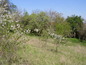 Land for sale near Plovdiv. A piece of the Bulgarian paradise is presented here to you!