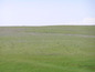 Agricultural land for sale near Elhovo. A big plot of agricultural land near Elhovo