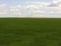 Agricultural land for sale near Burgas. Large plot of agricultural land near a small town