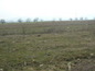 Agricultural land for sale near Karlovo. Plot of agricultural land with an attractive location!