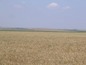 Agricultural land for sale near Burgas. 46,000 sq. m. of agricultural land in nice surroundings