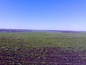 Agricultural land for sale near Burgas. 46,000 sq. m. of agricultural land near the mountains