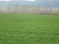 Agricultural land for sale near Gabrovo. Agricultural plot of land in a picturesque area