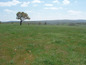 Agricultural land for sale near Elhovo. A plot of agricultural land with incredible size