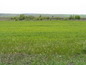 Agricultural land for sale near Elhovo. A big plot of land on the main road connecting Elhovo-Bourgas