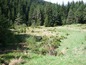 Land for sale near Borovets. A vast plot 4 km away from Borovets