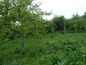 Land for sale near Veliko Tarnovo. A plot of land in a beautiful hilly village…Great price!