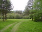 Land for sale near Velingrad. An excellent opportunity for investment!